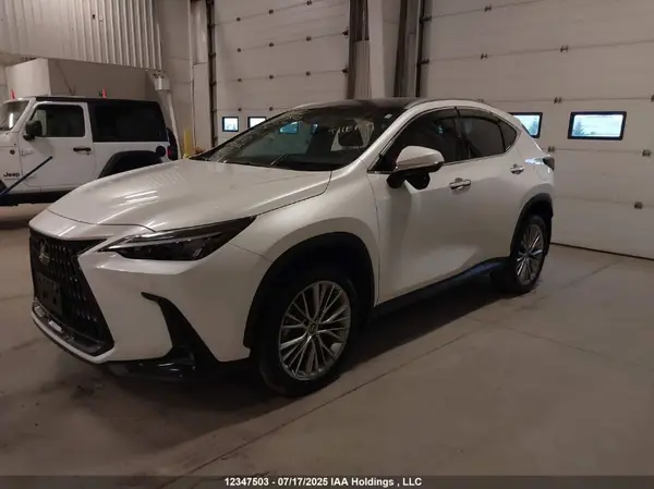 2T2GKCEZXPC012590 2023 LEXUS NX - Image 2