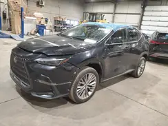 2T2GKCEZXPC013027 2023 LEXUS NX