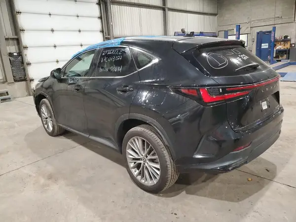 2T2GKCEZXPC013027 2023 LEXUS NX - Image 2