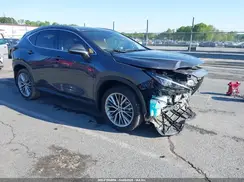 2T2GKCEZXPC015134 2023 LEXUS NX