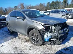 2T2GKCEZXRC017159 2024 LEXUS NX