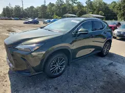 2T2GKCEZXRC020403 2024 LEXUS NX
