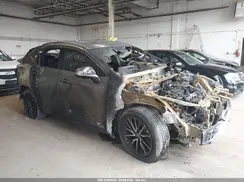 2T2GKCEZXRC020420 2024 LEXUS NX