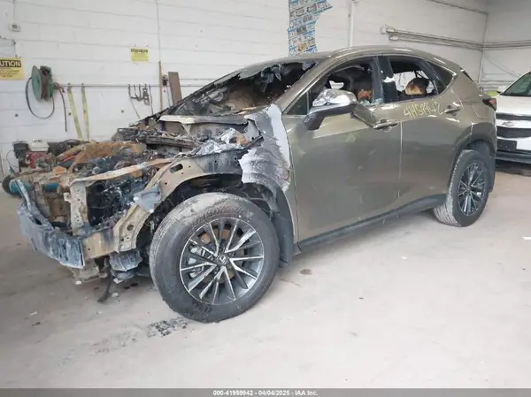 2T2GKCEZXRC020420 2024 LEXUS NX - Image 2