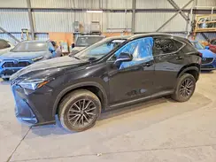 2T2GKCEZXRC022300 2024 LEXUS NX