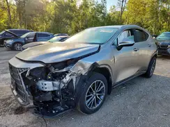 2T2GKCEZXRC023379 2024 LEXUS NX