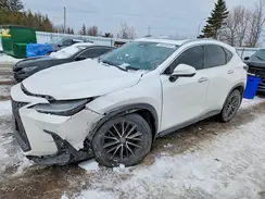 2T2GKCEZXRC025200 2024 LEXUS NX