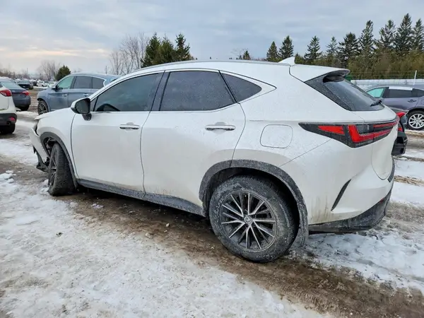 2T2GKCEZXRC025200 2024 LEXUS NX - Image 2