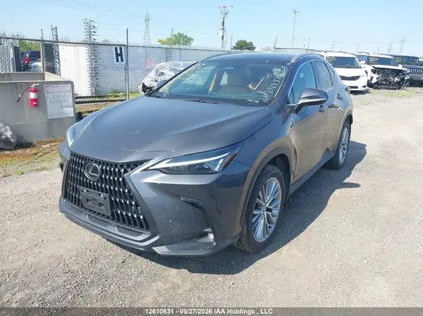 2T2GKCEZXSC034484 2025 LEXUS NX - Image 2