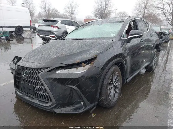 2T2GKCEZXSC051186 2025 LEXUS NX - Image 2