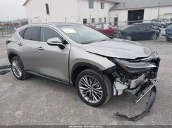 2T2HGCEZ0SC062106 2025 LEXUS NX