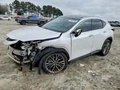 2T2HGCEZ1PC030272 2023 LEXUS NX