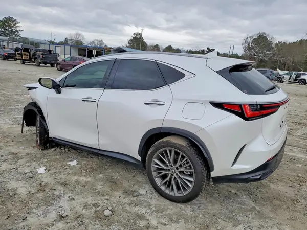 2T2HGCEZ1PC030272 2023 LEXUS NX - Image 2