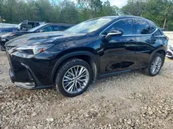 2T2HGCEZ1RC033773 2024 LEXUS NX