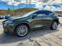 2T2HGCEZ2SC077352 2025 LEXUS NX
