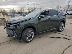 2T2HGCEZ3SC090840 2025 LEXUS NX
