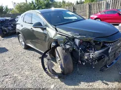 2T2HGCEZ4RC035632 2024 LEXUS NX