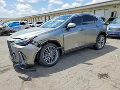 2T2HGCEZ4RC050177 2024 LEXUS NX