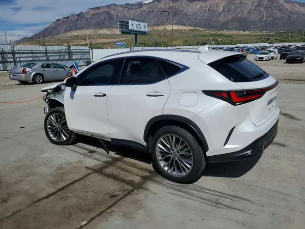 2T2HGCEZ5NC010216 2022 LEXUS NX - Image 2