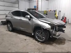 2T2HGCEZ5RC051130 2024 LEXUS NX
