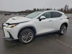 2T2HGCEZ5SC091990 2025 LEXUS NX