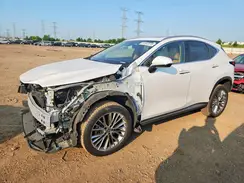 2T2HGCEZ7NC009486 2022 LEXUS NX