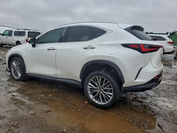 2T2HGCEZ7RC059004 2024 LEXUS NX - Image 2