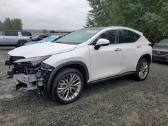 2T2HGCEZ8RC032006 2024 LEXUS NX
