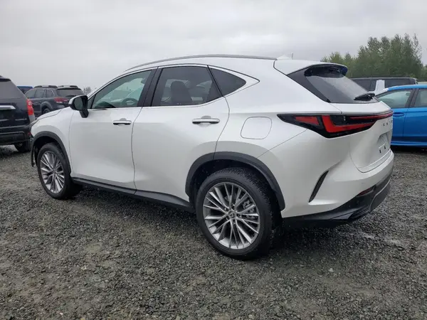2T2HGCEZ8RC032006 2024 LEXUS NX - Image 2