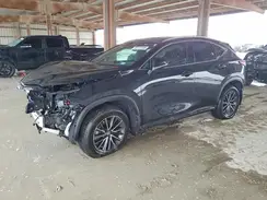2T2HGCEZ9RC044228 2024 LEXUS NX