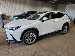 2T2HGCEZ9SC087666 2025 LEXUS NX