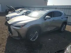 2T2HGCEZXPC030903 2023 LEXUS NX