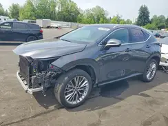 2T2HGCEZXRC035599 2024 LEXUS NX