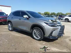 2T2HKCEZ0RC025095 2024 LEXUS NX