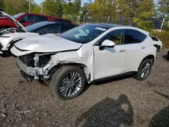 2T2HKCEZ0SC037592 2025 LEXUS NX