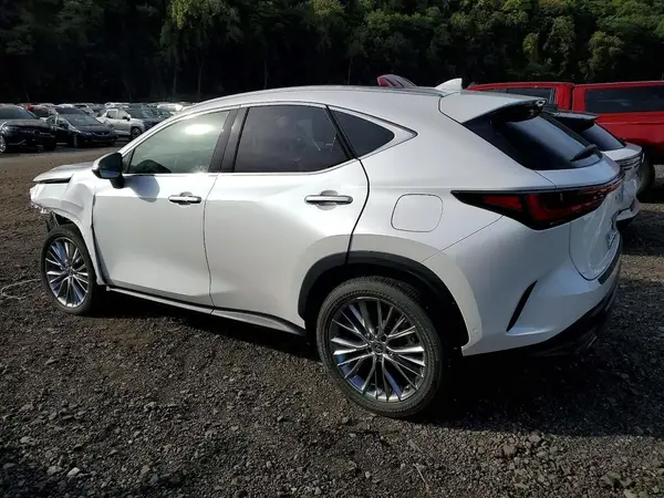2T2HKCEZ0SC037592 2025 LEXUS NX - Image 2