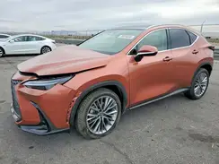 2T2HKCEZ0TC058198 2026 LEXUS NX