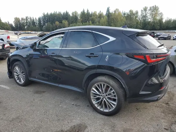 2T2HKCEZ1RC016874 2024 LEXUS NX - Image 2