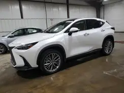 2T2HKCEZ1RC026157 2024 LEXUS NX