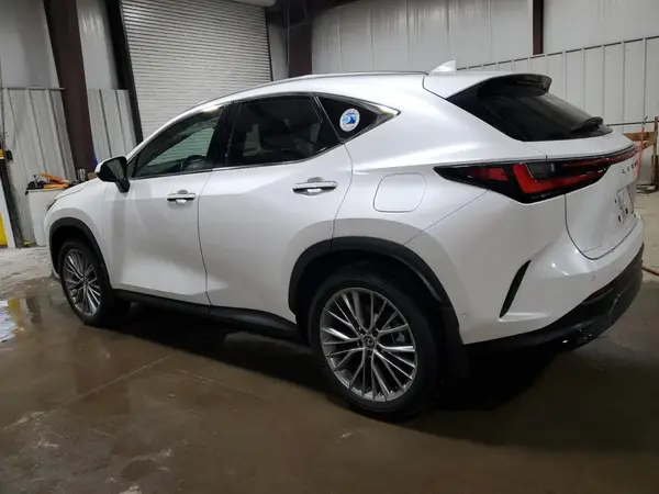 2T2HKCEZ1RC026157 2024 LEXUS NX - Image 2