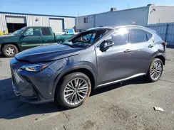 2T2HKCEZ1SC047564 2025 LEXUS NX