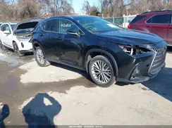 2T2HKCEZ2RC018424 2024 LEXUS NX