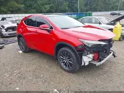 2T2HKCEZ2RC021629 2024 LEXUS NX
