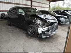 2T2HKCEZ3RC031389 2024 LEXUS NX