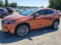2T2HKCEZ3TC063508 2026 LEXUS NX