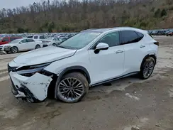2T2HKCEZ4TC059807 2026 LEXUS NX