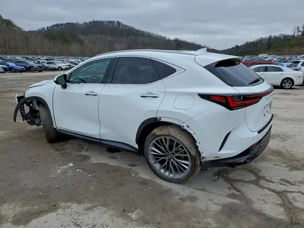 2T2HKCEZ4TC059807 2026 LEXUS NX - Image 2
