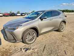 2T2HKCEZ5NC007217 2022 LEXUS NX