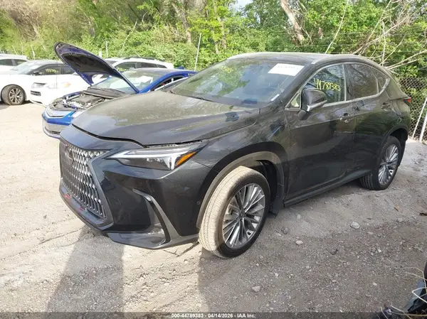 2T2HKCEZ5RC022242 2024 LEXUS NX - Image 2