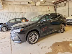 2T2HKCEZ5RC026159 2024 LEXUS NX